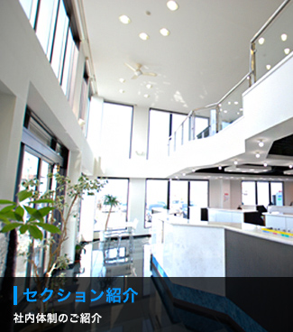 セクション紹介